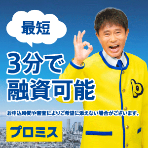 プロミス画像